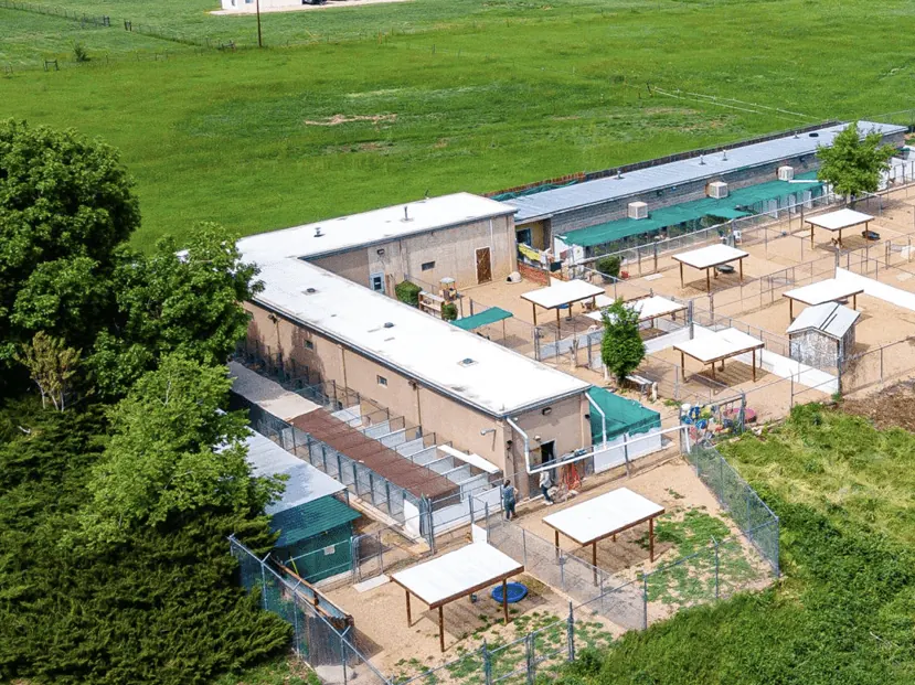 whispering-pines-boarding arial image of whispering pines pet resort facility in longmont CO